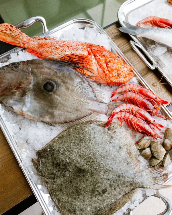 El pescado del día sobre hielo: gallo de San Pedro, cabracho y gamba roja